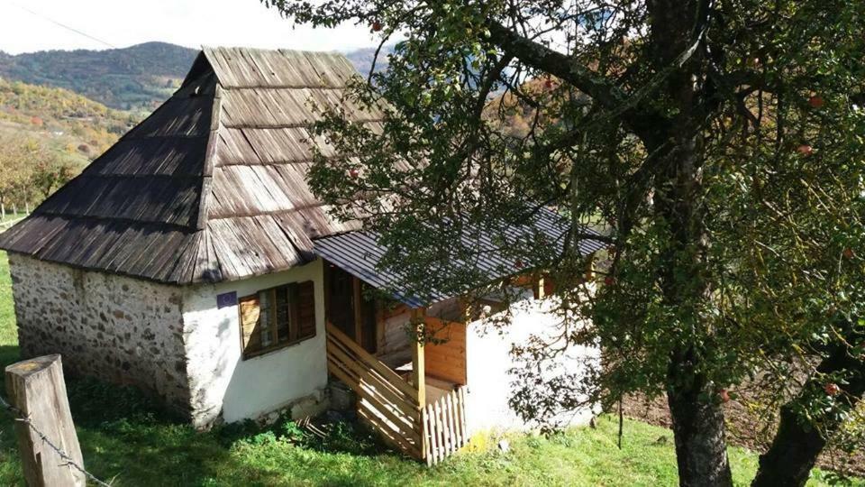 Household Babovic - Old House Miljan'S Valley Andrijevica Exterior photo